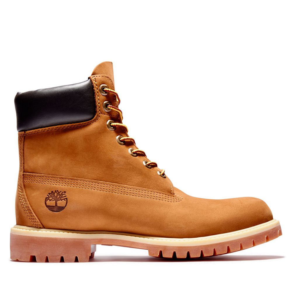 Timberland Μποτες Χιονιού Ανδρικα Καφε - 6-Inch Premium Waterproof - Greece 4721589-XI